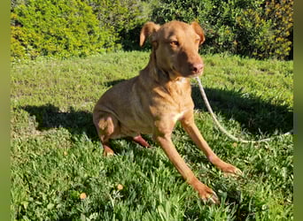 GODVIN sucht entspannte Menschen