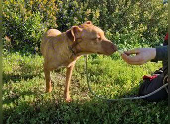 GODVIN sucht entspannte Menschen