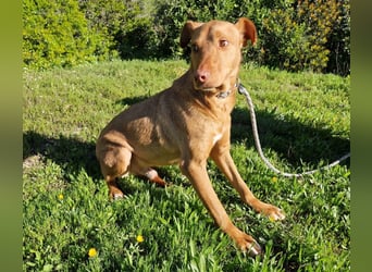 GODVIN sucht entspannte Menschen