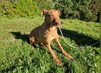 GODVIN sucht entspannte Menschen