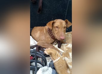 GODVIN sucht entspannte Menschen