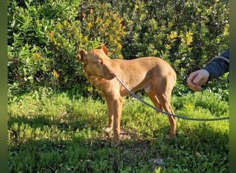 GODVIN sucht entspannte Menschen