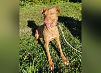 GODVIN sucht entspannte Menschen