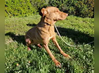 GODVIN sucht entspannte Menschen