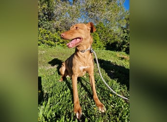 GODVIN sucht entspannte Menschen