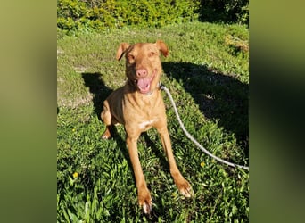 GODVIN sucht entspannte Menschen