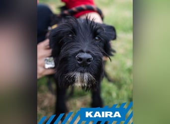 Kaira