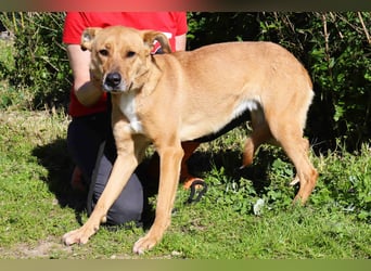 Zuhause gesucht für ❣️ THELMA