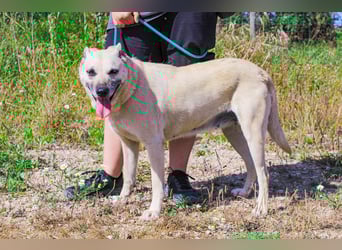 Gerda ❕ Wer sie kennenlernt - Der liebt sie ❕