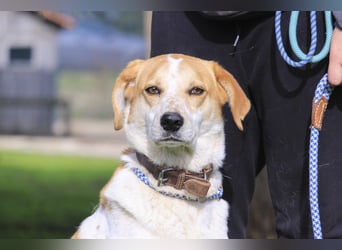 100% - freundlich & unkompliziert *DOBY*  Kennt das Leben im Haus!
