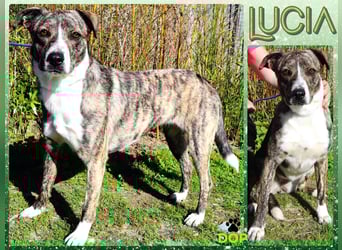 Lucia ❇️ sehr freundlich –>  kennt das Leben im Haus !