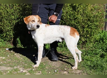 100% - freundlich & unkompliziert *DOBY*  Kennt das Leben im Haus!