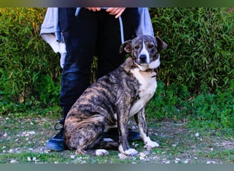 Lucia ❇️ sehr freundlich –>  kennt das Leben im Haus !