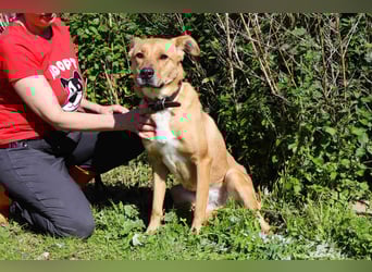 Zuhause gesucht für ❣️ THELMA