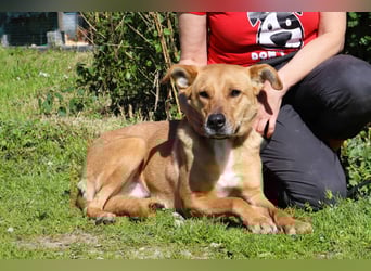 Zuhause gesucht für ❣️ THELMA