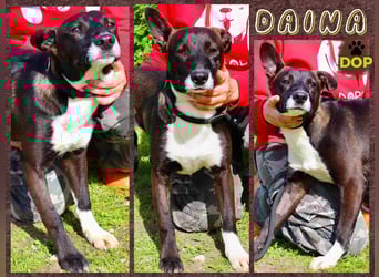 DAINA ❤️ wurde mit ihrer Mutter und ihrem Bruder ausgesetzt ~ aber das liegt hinter ihr