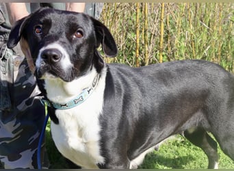 DAINA ❤️ wurde mit ihrer Mutter und ihrem Bruder ausgesetzt ~ aber das liegt hinter ihr