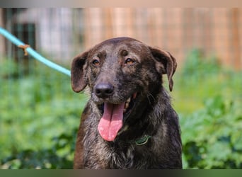 •J•A•Z•Z• | :-) | Ein Schätzchen wartet auf seine Menschen!