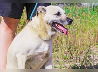 Gerda ❕ Wer sie kennenlernt - Der liebt sie ❕