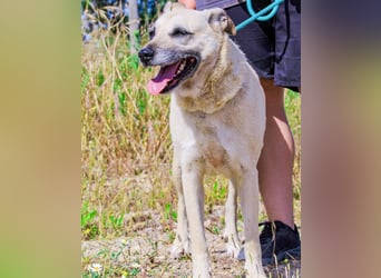 Gerda ❕ Wer sie kennenlernt - Der liebt sie ❕