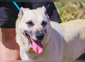 Gerda ❕ Wer sie kennenlernt - Der liebt sie ❕