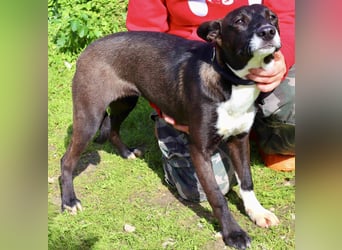 DAINA ❤️ wurde mit ihrer Mutter und ihrem Bruder ausgesetzt ~ aber das liegt hinter ihr