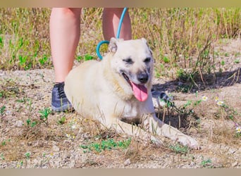 Gerda ❕ Wer sie kennenlernt - Der liebt sie ❕