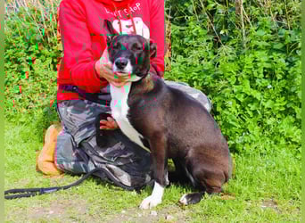 DAINA ❤️ wurde mit ihrer Mutter und ihrem Bruder ausgesetzt ~ aber das liegt hinter ihr