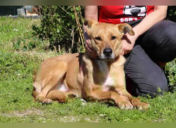 Zuhause gesucht für ❣️ THELMA