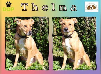 Zuhause gesucht für ❣️ THELMA