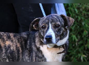 Lucia ❇️ sehr freundlich –>  kennt das Leben im Haus !