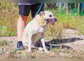 Gerda ❕ Wer sie kennenlernt - Der liebt sie ❕