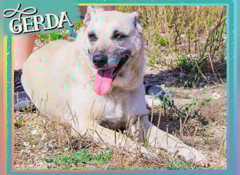 Gerda ❕ Wer sie kennenlernt - Der liebt sie ❕