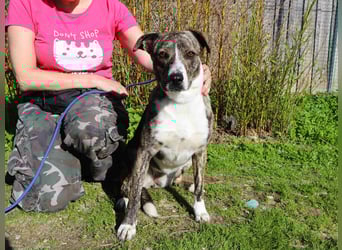 Lucia ❇️ sehr freundlich –>  kennt das Leben im Haus !