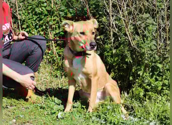 Zuhause gesucht für ❣️ THELMA