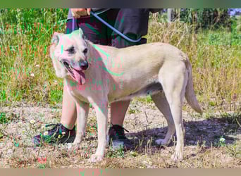 Gerda ❕ Wer sie kennenlernt - Der liebt sie ❕