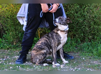 Lucia ❇️ sehr freundlich –>  kennt das Leben im Haus !