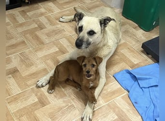 Gerda ❕ Wer sie kennenlernt - Der liebt sie ❕