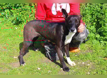 DAINA ❤️ wurde mit ihrer Mutter und ihrem Bruder ausgesetzt ~ aber das liegt hinter ihr