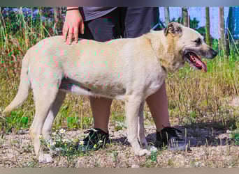 Gerda ❕ Wer sie kennenlernt - Der liebt sie ❕