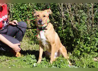 Zuhause gesucht für ❣️ THELMA