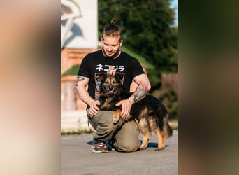 Tolle Zajka sucht liebevolles Zuhause