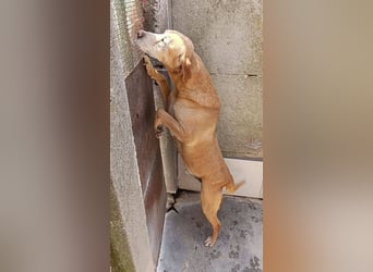 Jack Sparrow – endlich das Leben zurückgeschenkt bekommen!