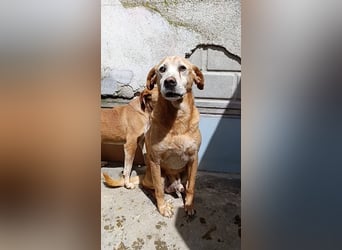 Jack Sparrow – endlich das Leben zurückgeschenkt bekommen!