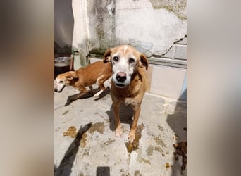 Jack Sparrow – endlich das Leben zurückgeschenkt bekommen!