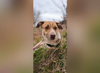 Shakira:“wohin mit allen meinen Talenten?“