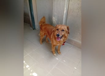 Eolo,- der Gott des Windes auf der suche nach familiärem Halt