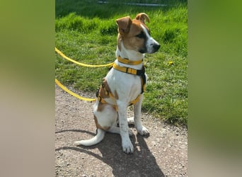 Pedro – Bereit für eine familiäre Zukunft -