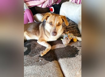 Shakira:“wohin mit allen meinen Talenten?“