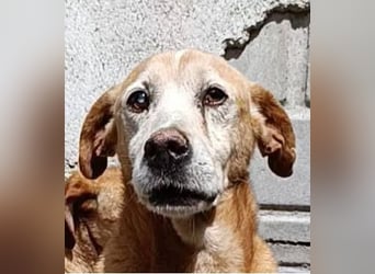 Jack Sparrow – endlich das Leben zurückgeschenkt bekommen!
